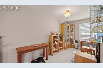 590 Paisley Drive, Colorado Springs, CO 80906 - Photo 28