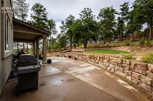 16335 Tree Top Ct, Monument, CO 80132 - Photo 44