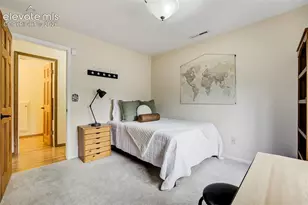 141 Dolomite Dr, Colorado Springs, CO 80919 - Photo 20