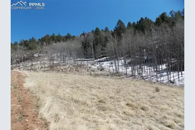 388 Grey Eagle Drive, Cripple Creek, CO 80813 - Photo 2