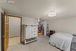 510 Banner Trail, Florissant, CO 80816 - Photo 46