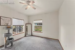 510 Banner Trail, Florissant, CO 80816 - Photo 28