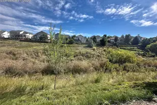 6463 Bluffmont Pt, Colorado Springs, CO 80923 - Photo 2