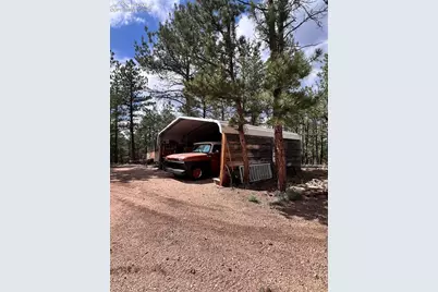 434 Blue Mountain Drive, Florissant, CO 80816 - Photo 18