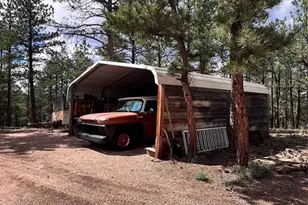 434 Blue Mountain Dr, Florissant, CO 80816 - Photo 18