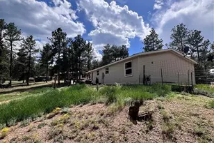 434 Blue Mountain Dr, Florissant, CO 80816 - Photo 20