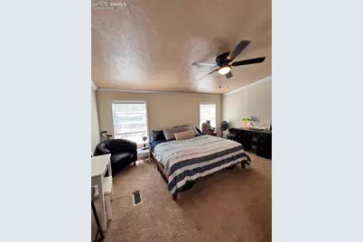 434 Blue Mountain Drive, Florissant, CO 80816 - Photo 8