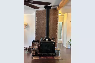 434 Blue Mountain Drive, Florissant, CO 80816 - Photo 14