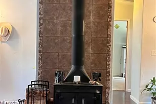 434 Blue Mountain Dr, Florissant, CO 80816 - Photo 14