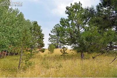 726 Copper Mountain Drive, Cripple Creek, CO 80813 - Photo 10