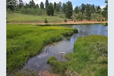 702 Lake Drive, Divide, CO 80814 - Photo 30