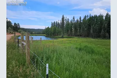 702 Lake Drive, Divide, CO 80814 - Photo 2