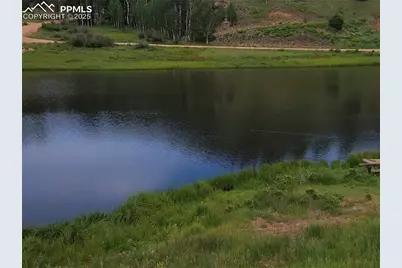 702 Lake Drive, Divide, CO 80814 - Photo 46