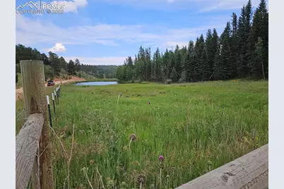 702 Lake Drive, Divide, CO 80814 - Photo 12