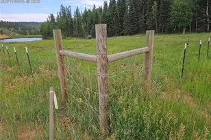 702 Lake Dr, Divide, CO 80814 - Photo 1