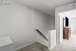 9443 Cashel Trail, Colorado Springs, CO 80927 - Photo 16