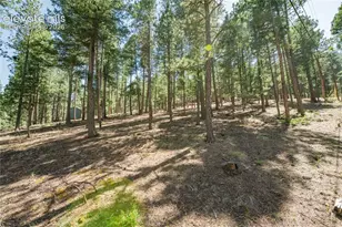 196 Summer Haven Dr, Woodland Park, CO 80863 - Photo 20