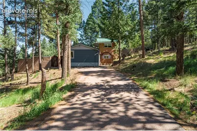 196 Summer Haven Drive, Woodland Park, CO 80863 - Photo 2