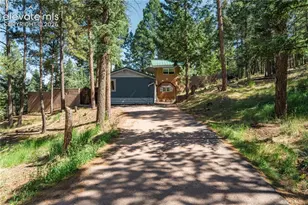 196 Summer Haven Dr, Woodland Park, CO 80863 - Photo 2