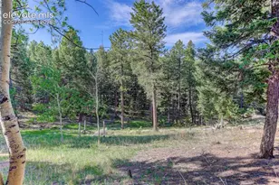 4 Honeysuckle Rd, Woodland Park, CO 80863 - Photo 24