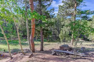 4 Honeysuckle Rd, Woodland Park, CO 80863 - Photo 4