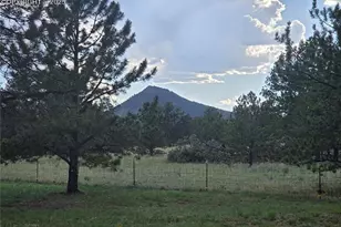 143 Ring Rd, Guffey, CO 80820 - Photo 36