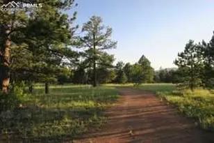 143 Ring Rd, Guffey, CO 80820 - Photo 24