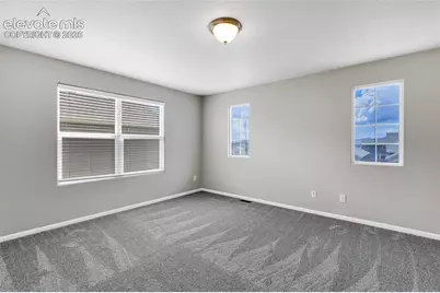 7585 Alpine Daisy Drive, Colorado Springs, CO 80925 - Photo 16