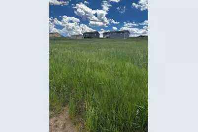 1298 Will Scarlet Drive, Divide, CO 80814 - Photo 2