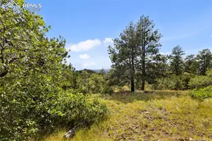 771 Moffat Dr, Cripple Creek, CO 80813 - Photo 34