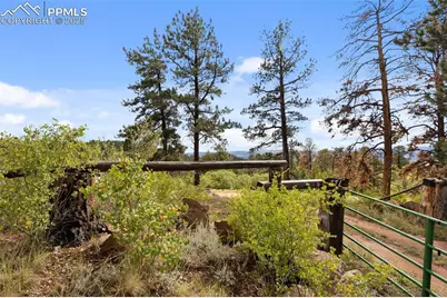 771 Moffat Drive, Cripple Creek, CO 80813 - Photo 28