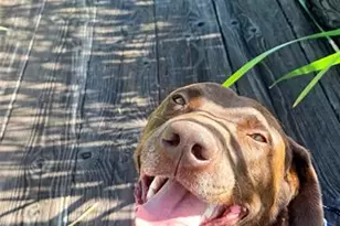 9962 Hidden Ranch Ct, Peyton, CO 80831 - Photo 48