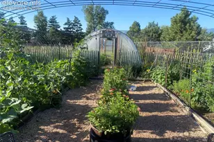 1911 Copley Rd, Colorado Springs, CO 80920 - Photo 46