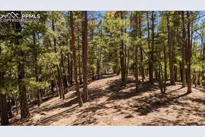 2255 Elk Park Road, Larkspur, CO 80118 - Photo 6