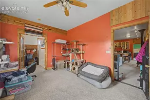 571 Saddle Trail, Hartsel, CO 80449 - Photo 18