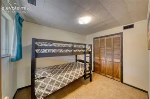 435 Phyllis Dr, Florissant, CO 80816 - Photo 24