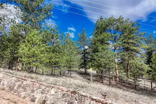 435 Phyllis Dr, Florissant, CO 80816 - Photo 34