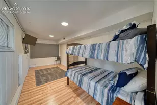 435 Phyllis Dr, Florissant, CO 80816 - Photo 26
