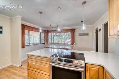 435 Phyllis Drive, Florissant, CO 80816 - Photo 22