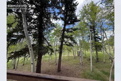 741 Elfin Glen Drive, Divide, CO 80814 - Photo 42