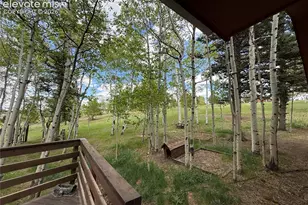 741 Elfin Glen Dr, Divide, CO 80814 - Photo 34