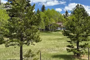 741 Elfin Glen Dr, Divide, CO 80814 - Photo 36