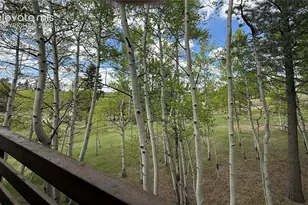 741 Elfin Glen Dr, Divide, CO 80814 - Photo 32