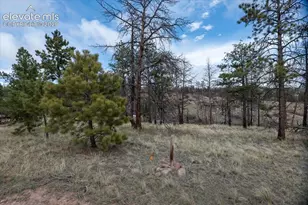 144 Chapparal Trail, Florissant, CO 80816 - Photo 1