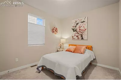 8091 Goldenray Place, Colorado Springs, CO 80908 - Photo 16