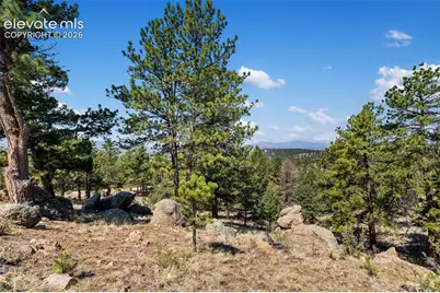 523 Navajo Trail, Florissant, CO 80816 - Photo 42
