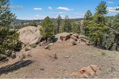 523 Navajo Trail, Florissant, CO 80816 - Photo 44
