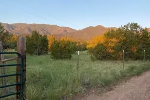 2911 Co Rd 103, Florence, CO 81226 - Photo 26