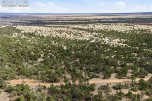 2911 Co Rd 103, Florence, CO 81226 - Photo 40