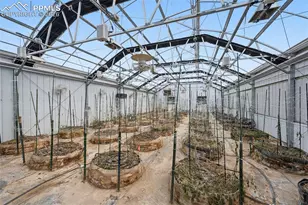 2911 Co Rd 103, Florence, CO 81226 - Photo 24